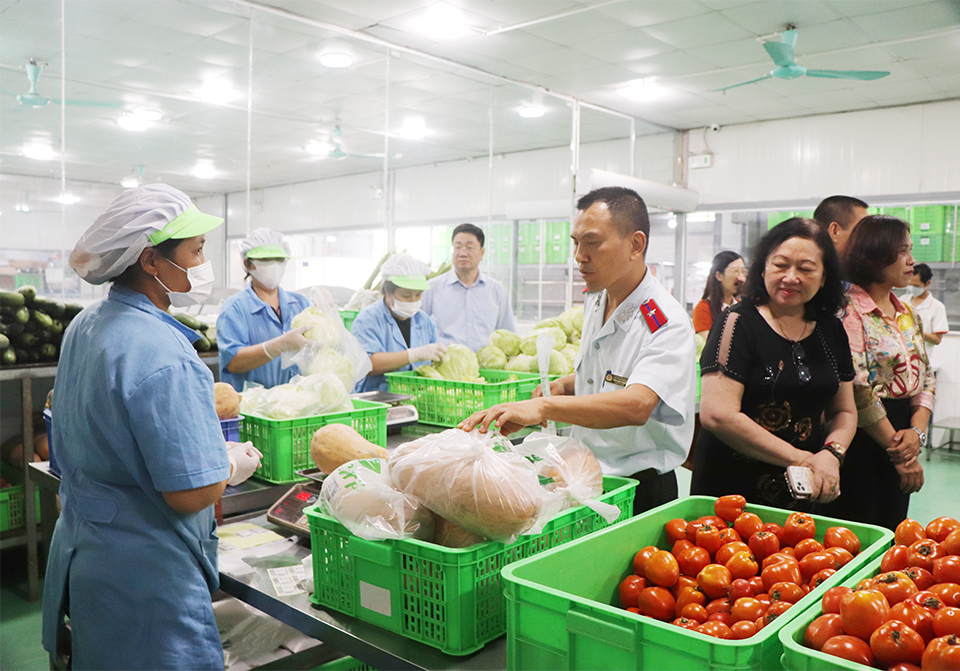 Hà Nội yêu cầu phân rõ trách nhiệm quản lý an toàn thực phẩm